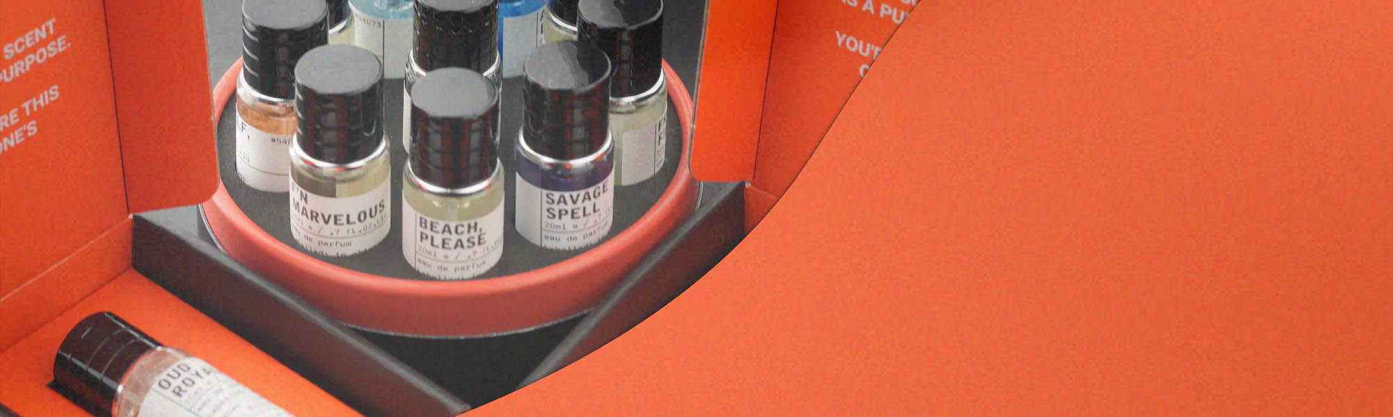 Elevate Your Every Day Scent